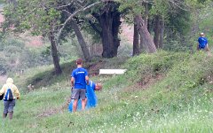 IMG_8012