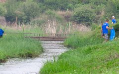IMG_8015