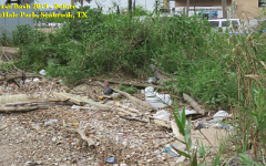 TrashBash-2019-Before-After Before - After (Animated Gif)
