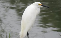 IMG_1894
