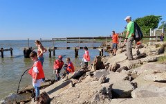 IMG_1310