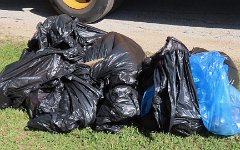 IMG_1318 Trash Collected from Pine Gully Park