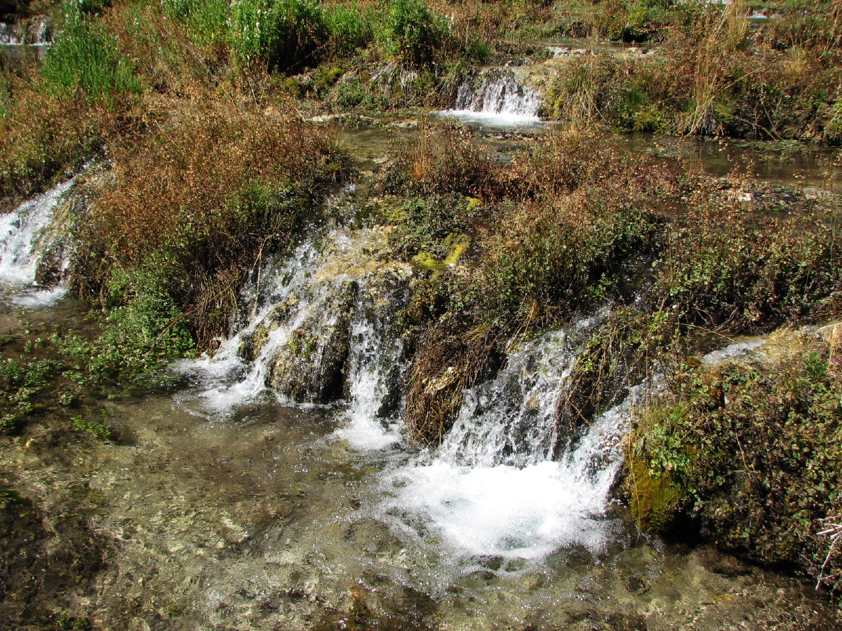 IMG_1000.JPG