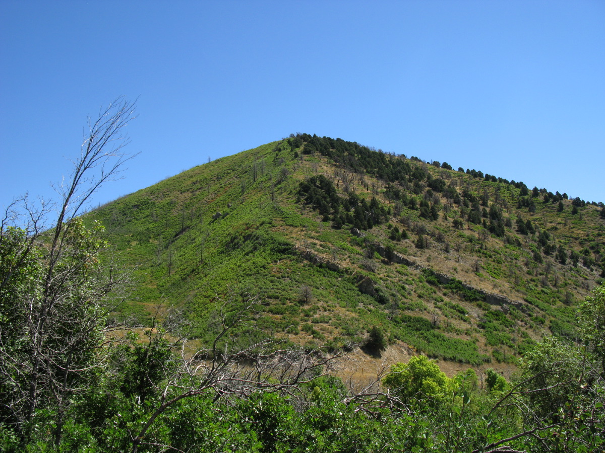 IMG_7655.JPG