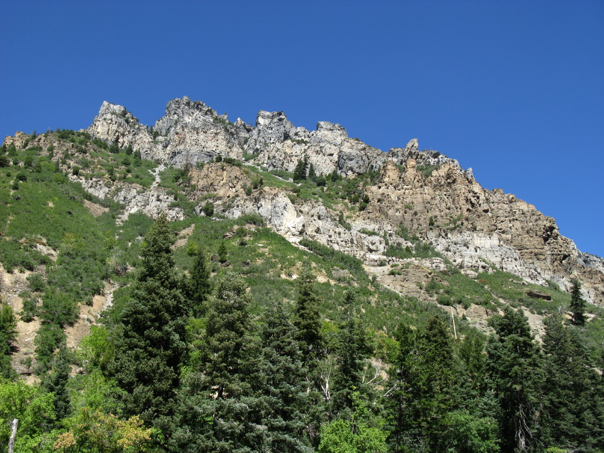 IMG_7671.JPG
