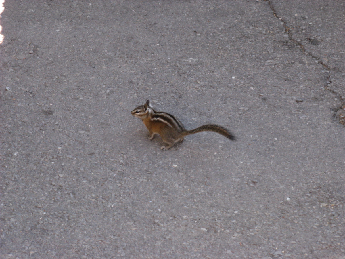 IMG_7737.JPG