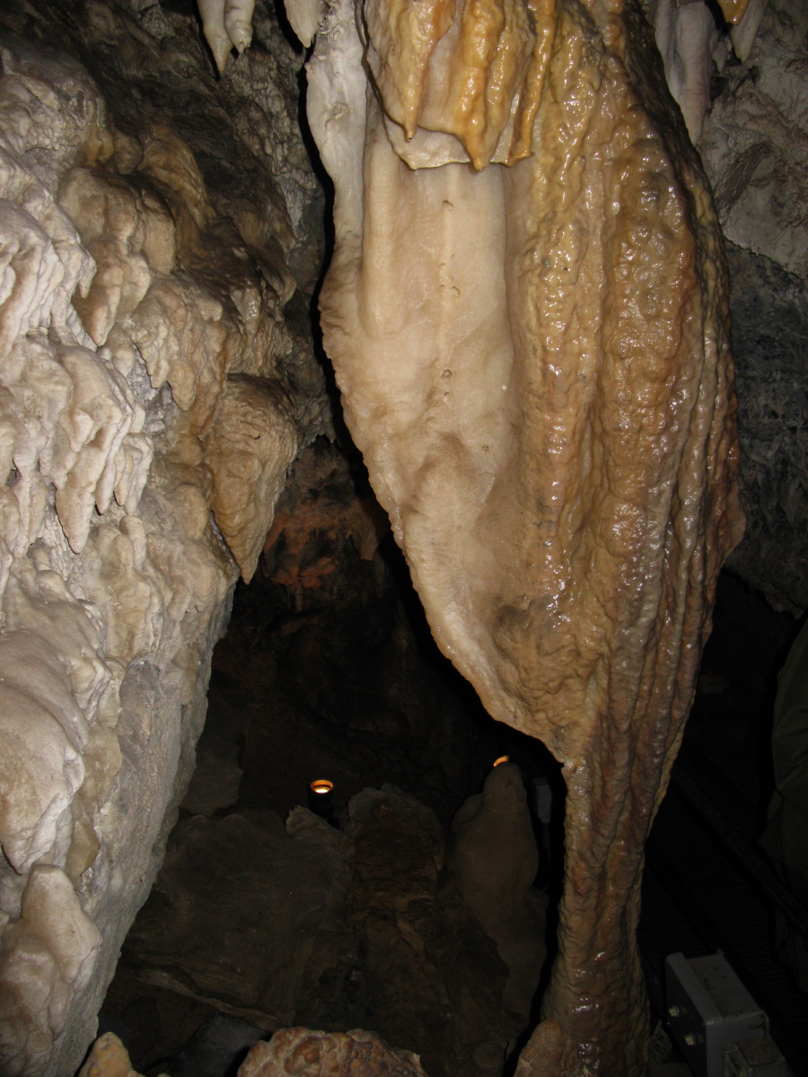 IMG_7752.JPG