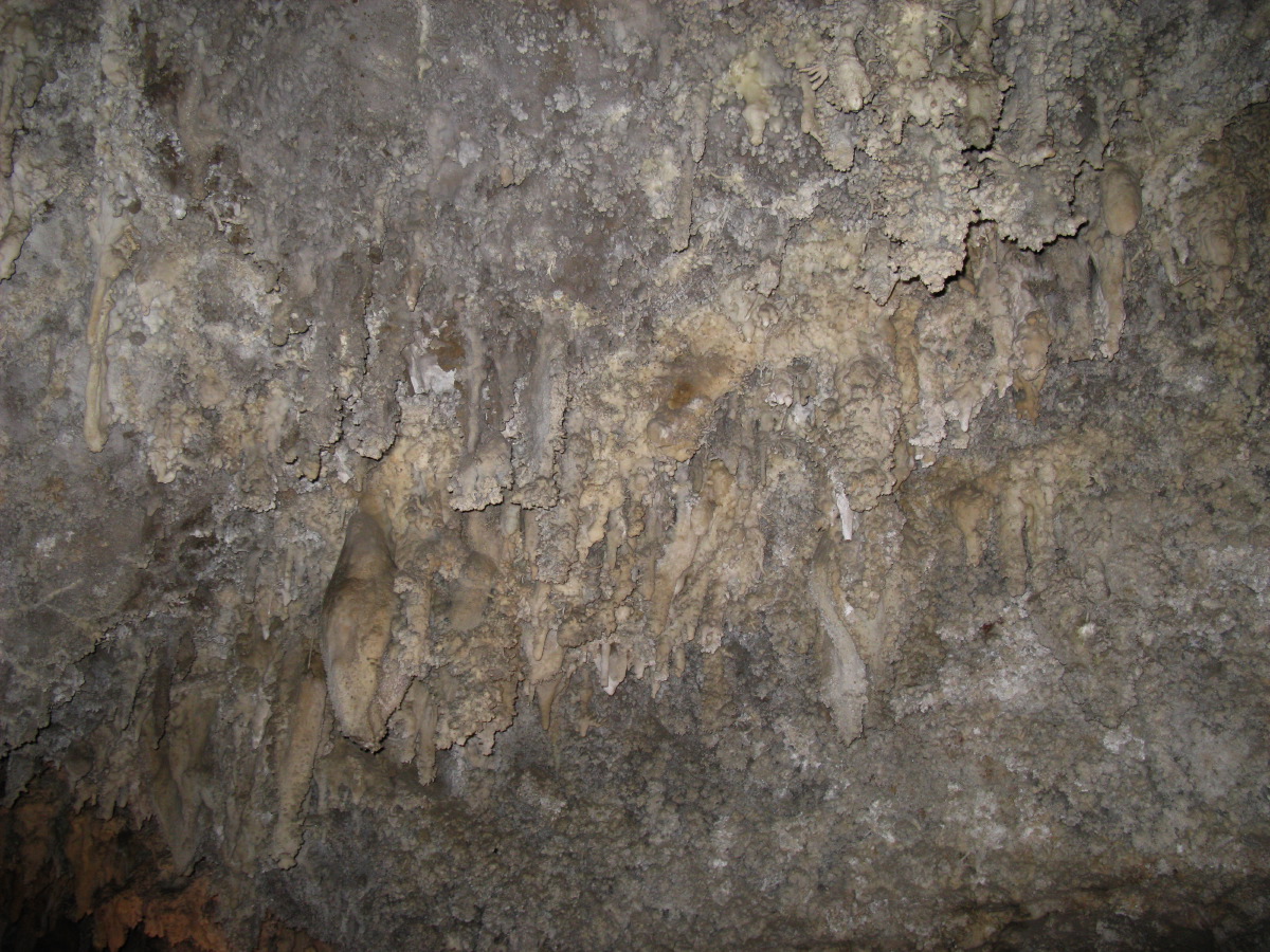 IMG_7776.JPG