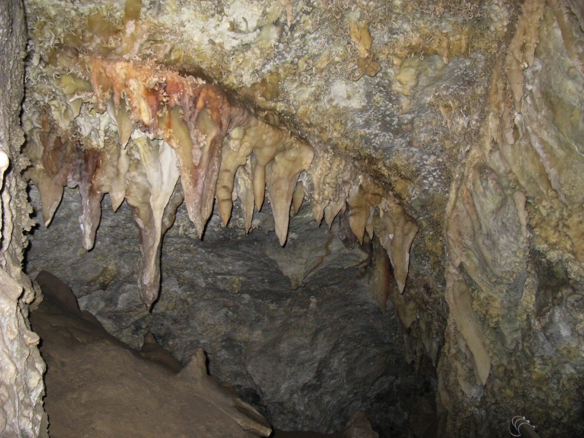 IMG_7808.JPG