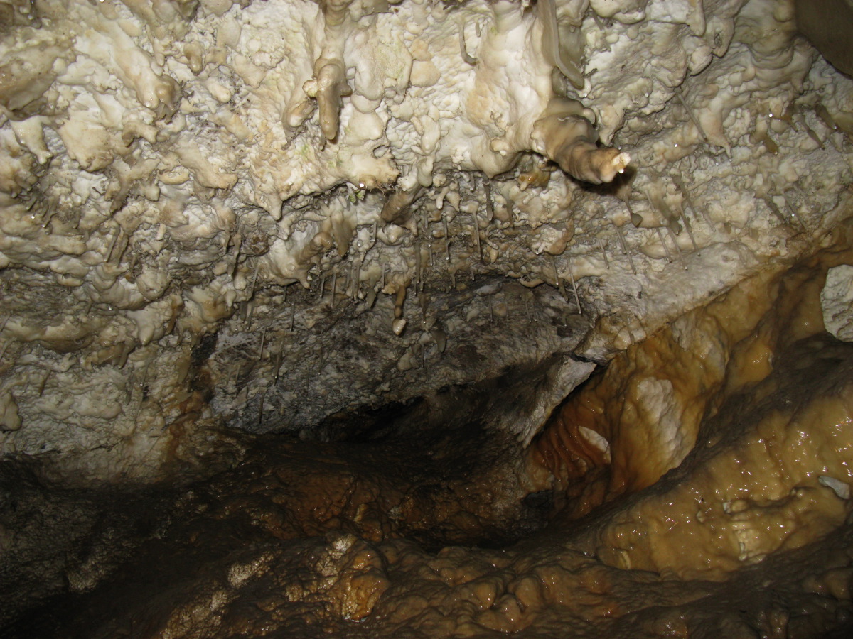 IMG_7824.JPG