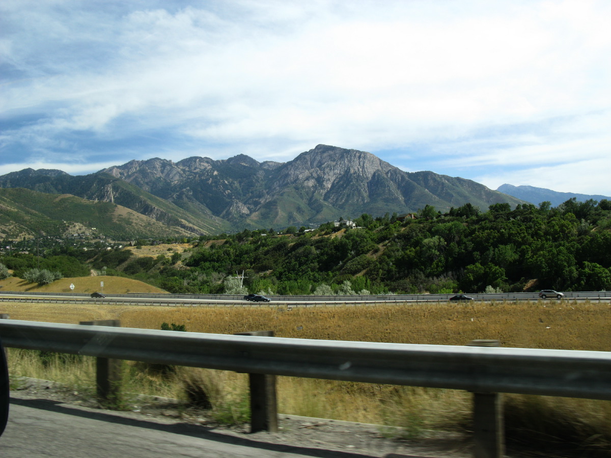 IMG_8053.JPG