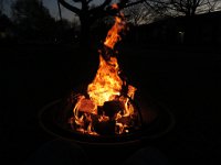 IMG 7787