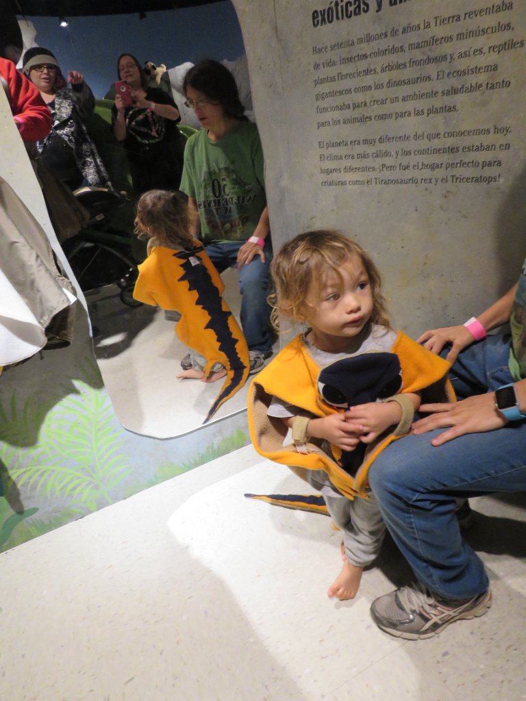 IMG 7861