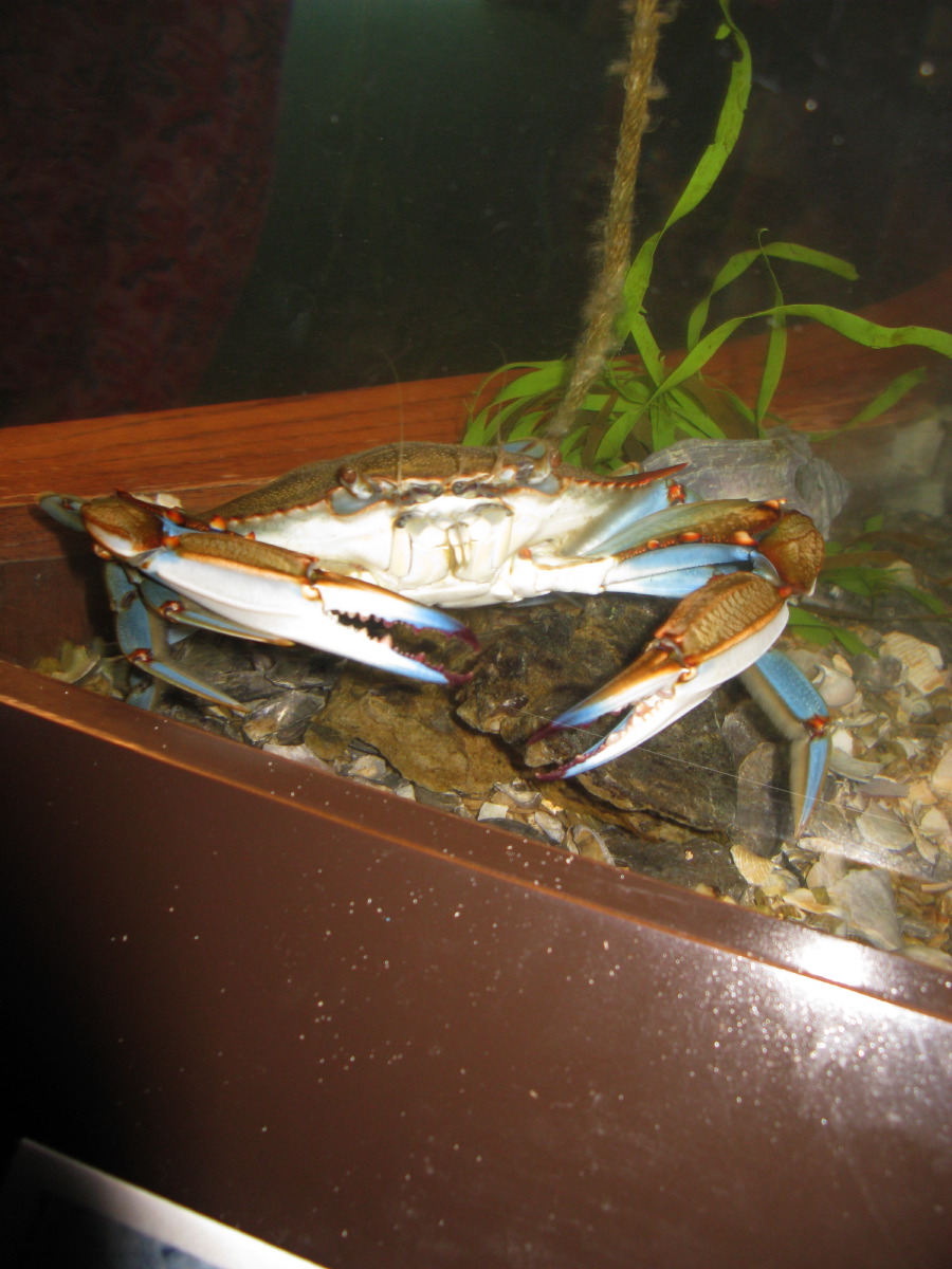 IMG_6709.jpg