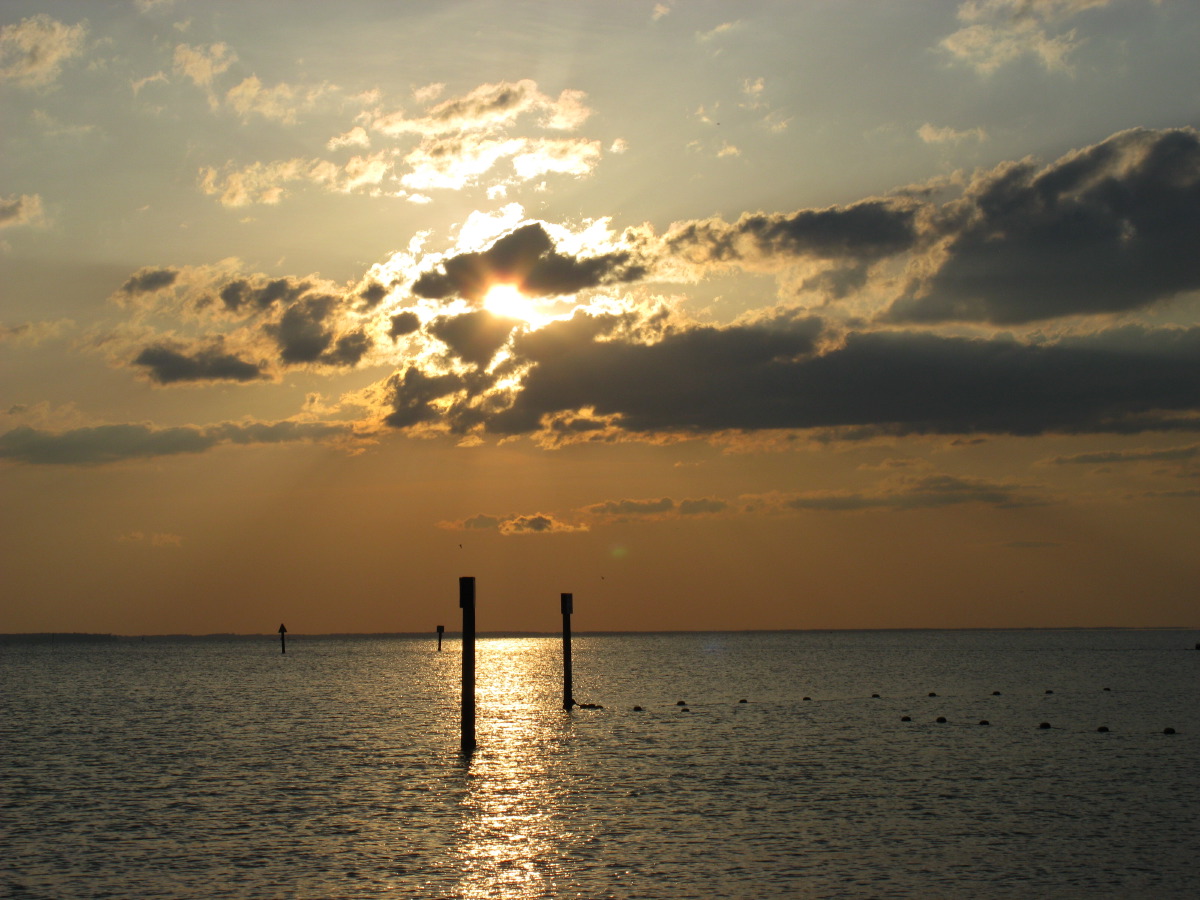 IMG_6833.JPG