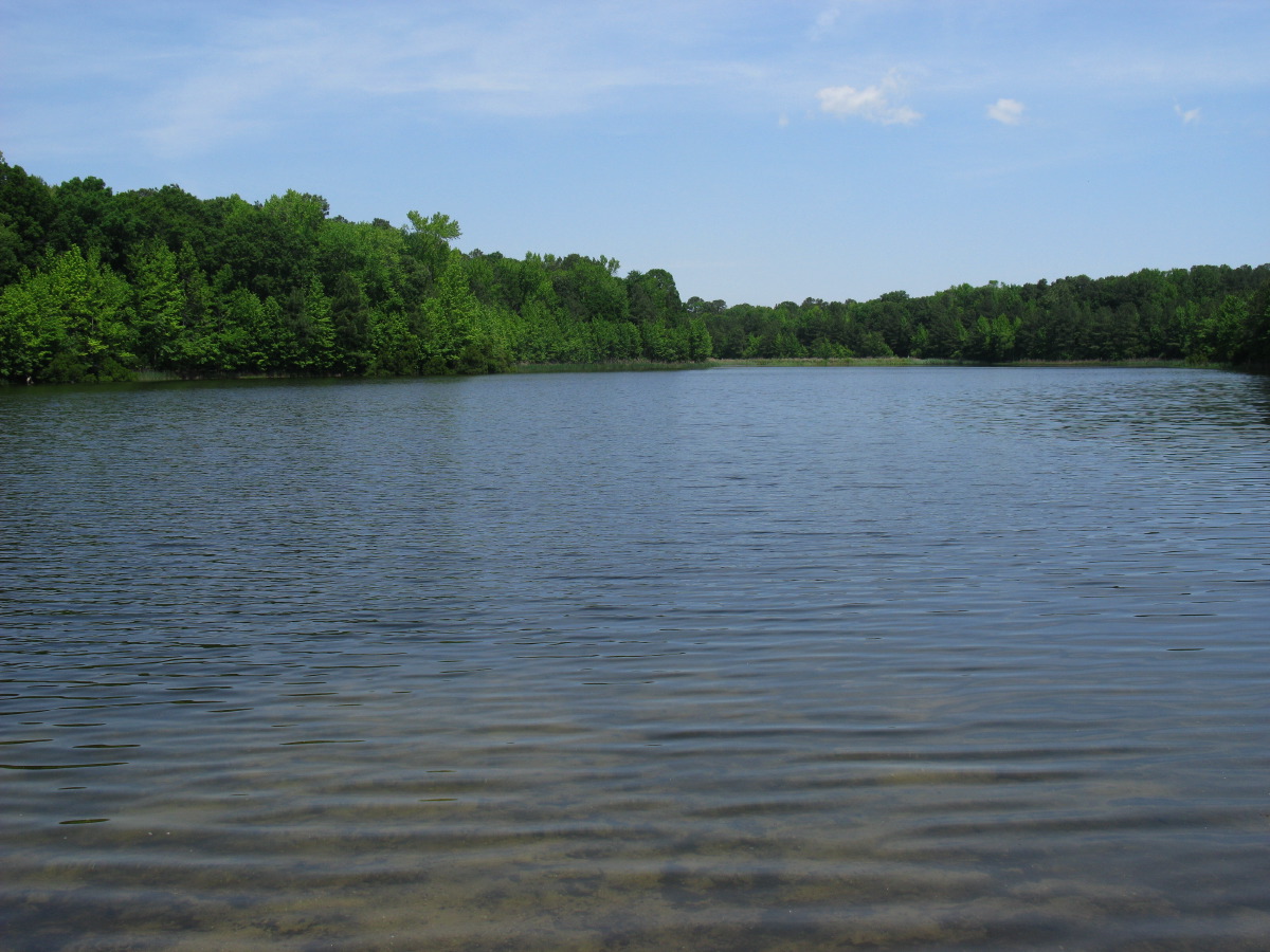 IMG_6911.JPG