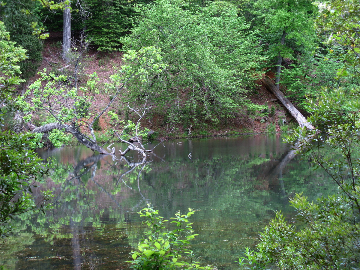 IMG_6542.JPG