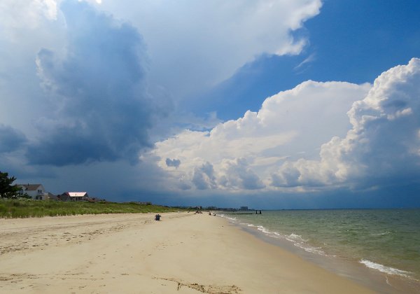 Virginia Aug 2019