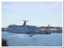 AUT_4608.JPG