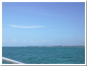 AUT_4617.JPG