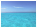 AUT_4628.JPG