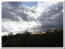 AUT_5239.JPG