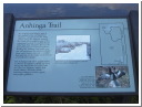 AUT_5273.JPG