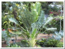 AUT_5388.JPG
