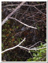 AUT_5659.JPG