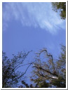 AUT_5686.JPG