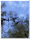 AUT_5687.JPG