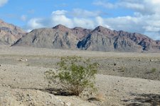 IMG_6902 Black Mountains from Ashford Mill site, Death Valley National Park