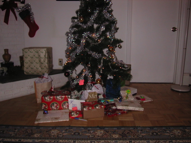 aut_0365.jpg