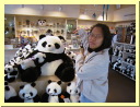 AUT_1208.JPG