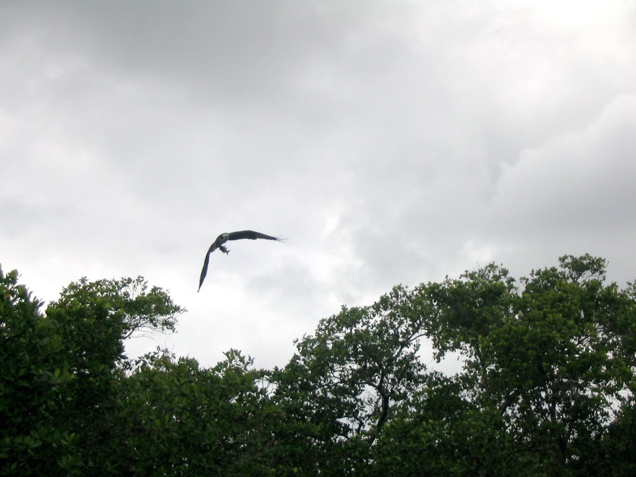 IMG_8858.jpg