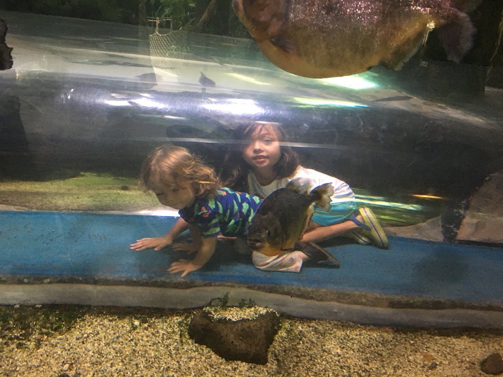 IMG 7766