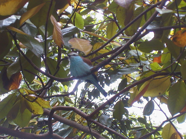 AUT_2202.jpg