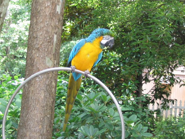 IMG_3337.jpg