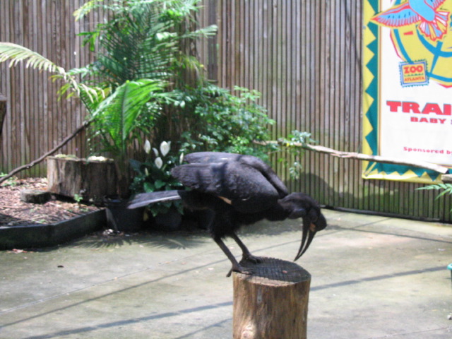 IMG_3464.jpg