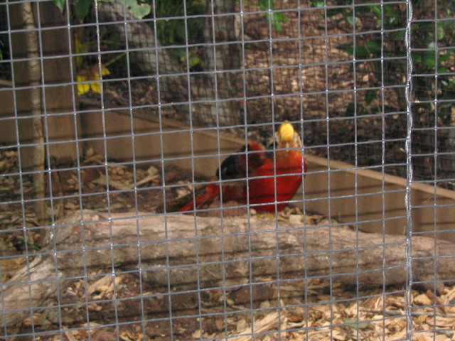 IMG_3799.jpg
