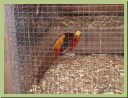 AUT_2170.JPG