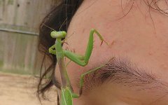 IMG_3909