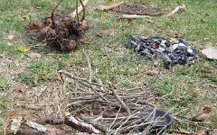 IMG_3920